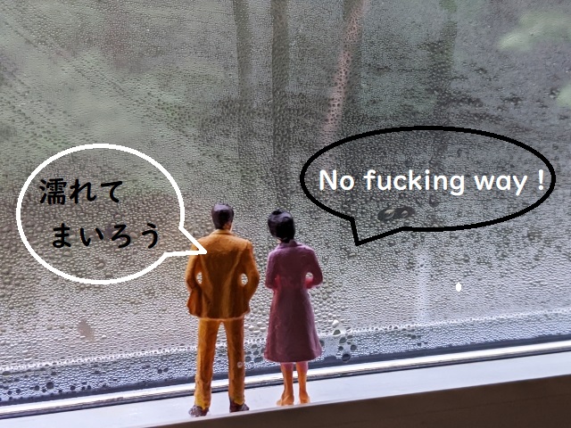 雨のパリが一番素敵(諸説ありますが)